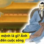 Quả tú cung mệnh là gì? Ảnh hưởng gì đến cuộc sống