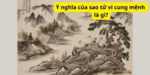 Ý nghĩa của sao tử vi cung mệnh là gì?