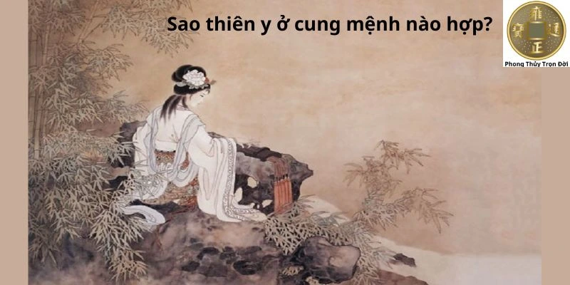 Sao thiên y ở cung mệnh nào hợp?