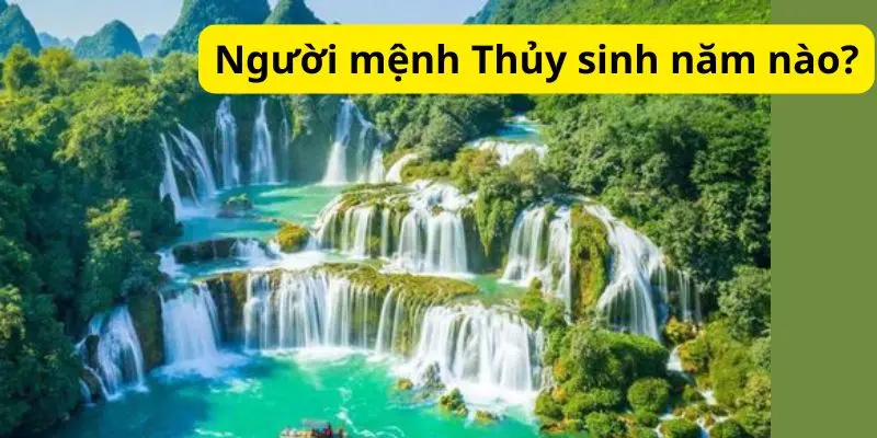 Người mệnh Thủy sinh năm nào?