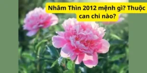 Nhâm Thìn 2012 mệnh gì? Thuộc can chi nào?