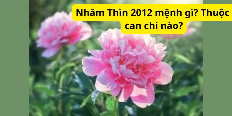 Nhâm Thìn 2012 mệnh gì? Thuộc can chi nào?