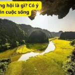 Tam mệnh thông hội là gì? Có ý nghĩa gì đến cuộc sống