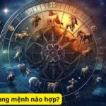 Sao thiên y ở cung mệnh nào hợp?