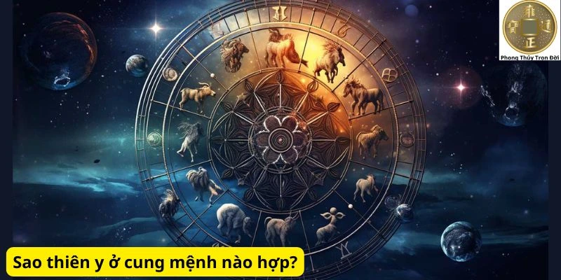 Sao thiên y ở cung mệnh nào hợp?