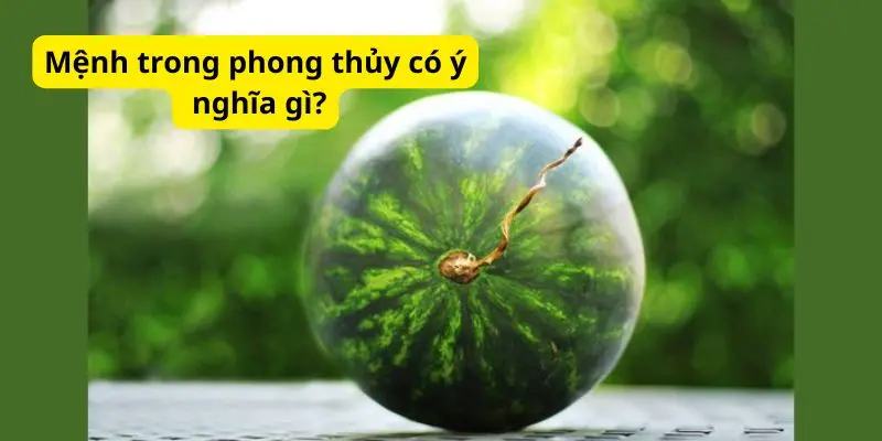 Mệnh trong phong thủy có ý nghĩa gì?