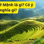 Mộc dục ở Mệnh là gì? Có ý nghĩa gì?