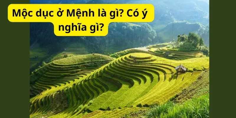 Mộc dục ở Mệnh là gì? Có ý nghĩa gì?