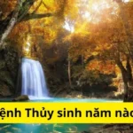 Người mệnh Thủy sinh năm nào?