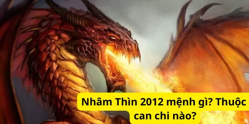 Nhâm Thìn 2012 mệnh gì? Thuộc can chi nào?